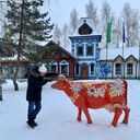 ���������� ������, ���� ������� ������, 50 ���, ������������ ��� ������, ����� � ���������