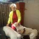  ,   HADIH, 68 ,   ,   , c 