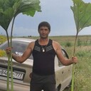 ���������� �����������, ���� ������� �����, 38 ���, ������������ ��� ������, ����� � ���������, c�������� ���������, ���������