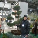  ,   DAMIR, 32 ,     , c 