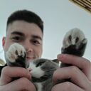  -,   , 30 ,   ,   