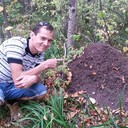 ���������� ���������, ���� ������� �����, 45 ���, ������������ ��� ����� � ���������, c�������� ���������