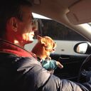 ���������� ������, ���� ������� ������, 50 ���, ������������ ��� ������, ����� � ���������