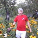  ,   , 63 ,   