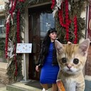 ���������� �����������, ���� ������� ����, 43 ����, ������������ 