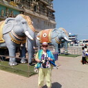 ���������� ������������, ���� ������� �������, 65 ���, ������������ ��� ������, ����� � ���������, c�������� ���������