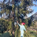 ���������� �����-���������, ���� ������� �����, 56 ���, ������������ ��� c�������� ���������