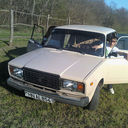 ���������� �������, ���� ������� Stefan, 33 ����, ������������ ��� ������, ����� � ���������, c�������� ���������, ���������