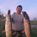  Madrid,   Tino, 61 ,   ,   , c 