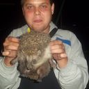 ���������� �����, ���� ������� ������, 34 ����, ������������ ��� ������