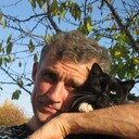 ���������� ������������, ���� ������� ���������, 51 ���, ������������ ��� ������, ����� � ���������