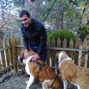 ���������� �������, ���� ������� Kaxa, 36 ���, ������������ ��� ������, ����� � ���������, c�������� ���������