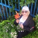  ,   , 54 ,     