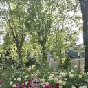  ,   , 60 ,   c 