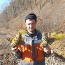  --,   , 29 ,   ,   