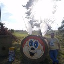  ,   , 43 ,   ,   , c 