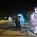 ���������� �����������, ���� ������� ���������, 49 ���, ������������ ��� ������, ����� � ���������