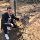 ���������� �����-���������, ���� ������� �������, 34 ����, ������������ ��� ������, ����� � ���������, c�������� ���������