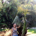  ,   Iriska, 58 ,   ,   , c 