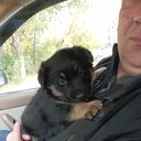   ,   Viktor, 46 ,   ,   