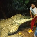 ���������� �����-���������, ���� ������� �����, 34 ����, ������������ ��� ������, ����� � ���������, c�������� ���������