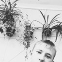 ���������� ��������, ���� ������� ������, 29 ���, ������������ ��� ������, ����� � ���������, c�������� ���������