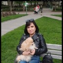  --,   , 51 ,   c 