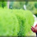 ���������� �������, ���� ������� Mustafo, 34 ����, ������������ ��� ������, ����� � ���������, c�������� ���������