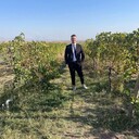 ���������� ������, ���� ����� ������, 24 ����, ������������ ��� ������, ����� � ���������