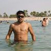  ,   Gans, 39 ,   