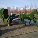 ���������� ������, ���� ������� �����, 37 ���, ������������ ��� ������, ����� � ���������