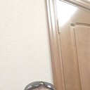 ���������� �������, ���� ������� ���������, 41 ���, ������������ ��� c�������� ���������