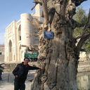  ,   Timur, 44 ,   