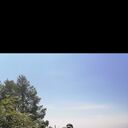 ���������� �������, ���� ������� ���������, 44 ����, ������������ ��� ������, ����� � ���������