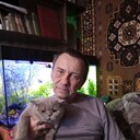  ,   , 56 ,     , c , 