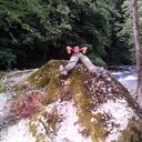  --,   Des, 41 ,   ,   , c 