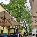 ���������� ������, ���� ������� ������, 32 ����, ������������ ��� ������, ����� � ���������