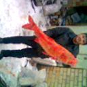  ,   Said, 49 ,  