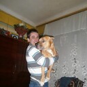 ���������� ����, ���� ������� �������, 38 ���, ������������ ��� ������, ����� � ���������, c�������� ���������