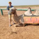 ���������� ������ ��������, ���� ������� Anatol, 44 ����, ������������ ��� ������