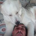 ���������� �����, ���� ������� ��������, 41 ���, ������������ ��� c�������� ���������