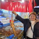 ���������� ���������, ���� ������� ��������, 70 ���, ������������ ��� ������, ����� � ���������