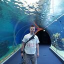 ���������� ������, ���� ������� ������, 43 ����, ������������ ��� ������, ����� � ���������, c�������� ���������