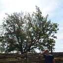 ���������� ���������, ���� ������� ����, 43 ����, ������������ ��� ������, ����� � ���������, c�������� ���������