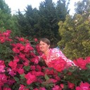  ,   , 55 ,   ,   , c 