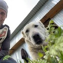 ���������� ����������, ���� ������� ����, 46 ���, ������������ ��� ������, ����� � ���������, ���������