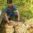  ,   Begali, 60 ,   ,   , c 