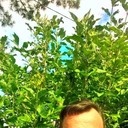 ���������� �����, ���� ������� ������, 51 ���, ������������ ��� ������, ����� � ���������, c�������� ���������