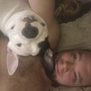 ���������� ��������, ���� ������� ������, 38 ���, ������������ ��� ������, ����� � ���������, c�������� ���������