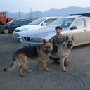  ,   , 46 ,   ,   , c 